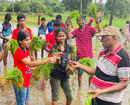 St. Agnes High School students get tangible education at the agricultural field